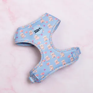Adjustable Dog Harness Everybody Needs A Teddy Bear