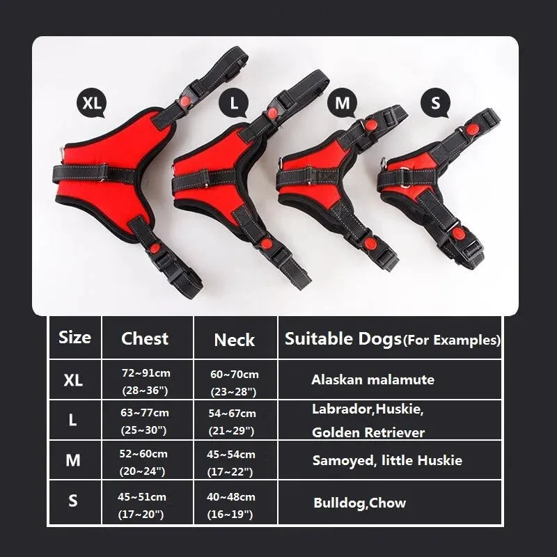 Adjustable Heavy Duty Nylon Dog Harness for All Sizes