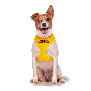 ADOPT ME - Small adjustable Vest Harness