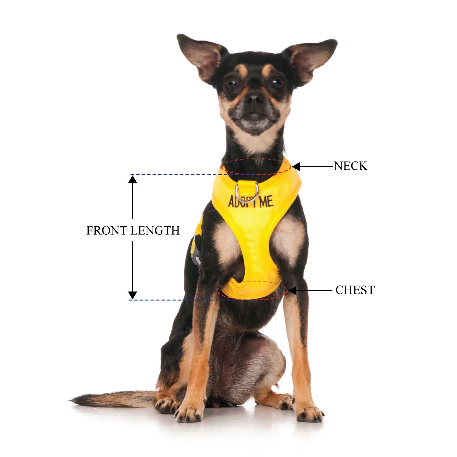 ADOPT ME - XS adjustable Vest Harness
