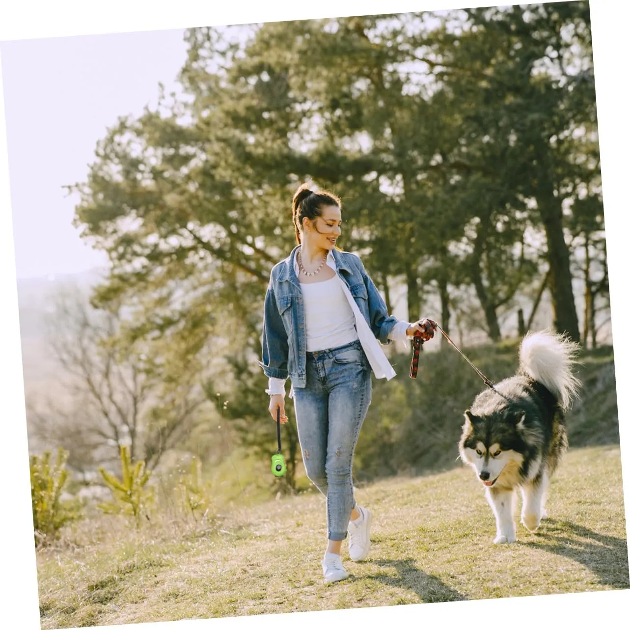 Angoily 2pcs Button Clicker Training Tool for Pets for Dog Obedience Agility and Behavior Versatile Click Whistle for Dogs Cats and Other Animals