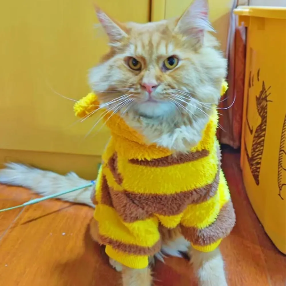 ANIAC Fleece Dog Hoodies with D-Ring Autumn Winter Puppy Clothes for Small Dogs Bumblebee Cat Apparel Cold Weather Coat Funny Dog Bee Costume for Christmas Halloween(Yellow, Large)