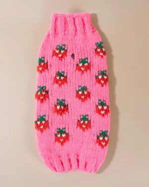 Berry Cute Hot Pink Dog Sweater