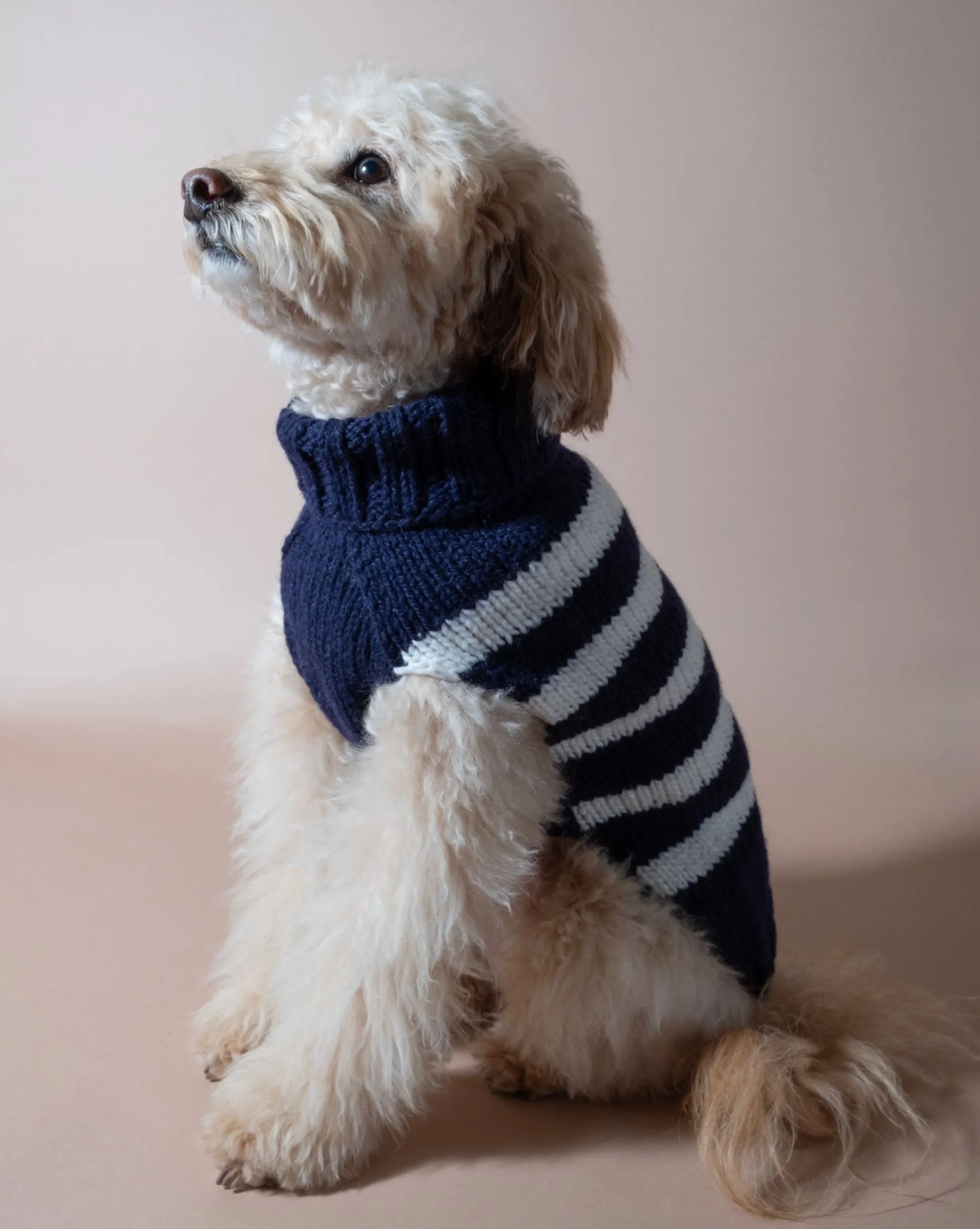 Between the Lines Navy Alpaca Stripe Dog Sweater