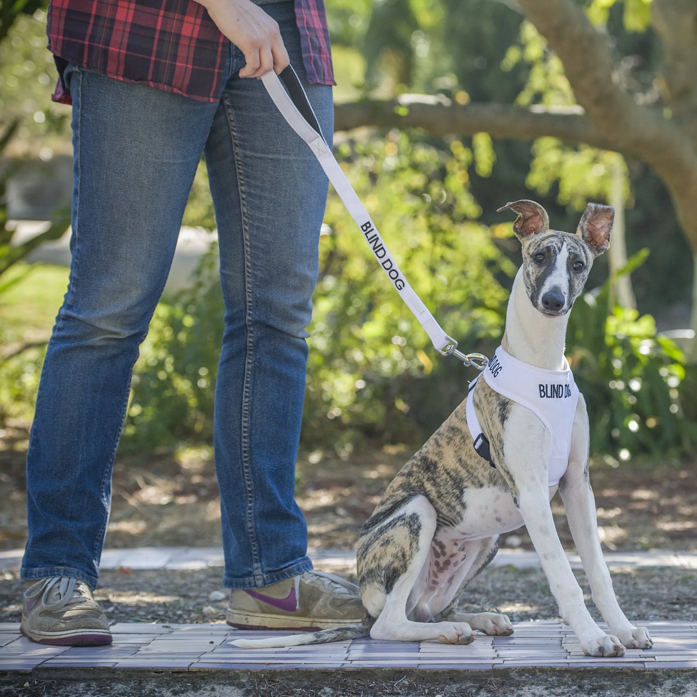 BLIND DOG - Medium adjustable Vest Harness