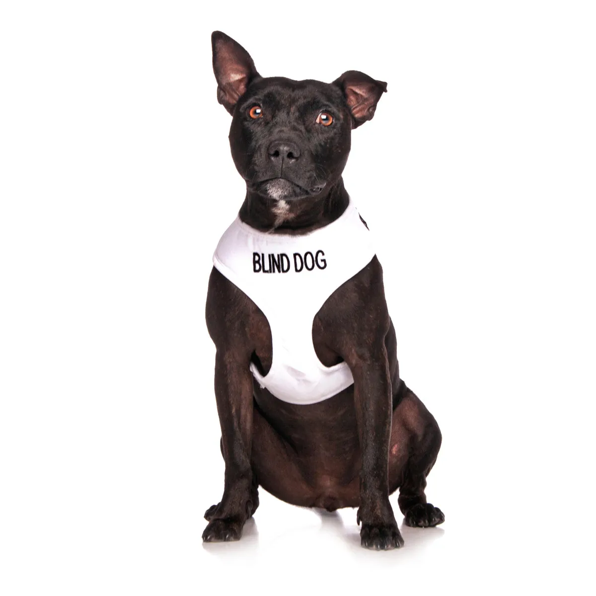 BLIND DOG - Medium adjustable Vest Harness