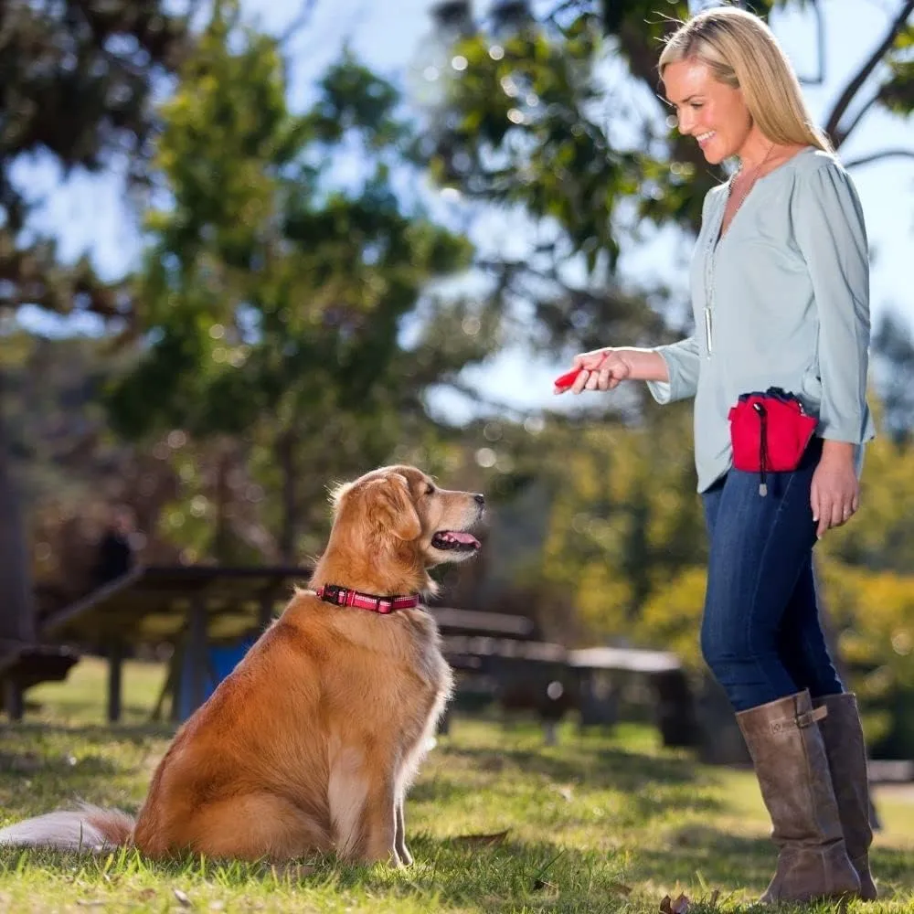 Company of Animals Whizzclick, Clicker and Whistle Combined, Recall and Reward Training, Wrist Strap, For all Dogs Including Sensitive Dogs and Puppies