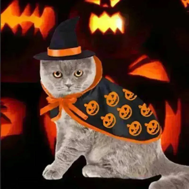Cross border Halloween Pet Cloak Saint costume