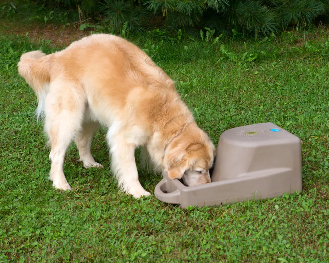 Dakota 283 Dash Portable Water Bowl System