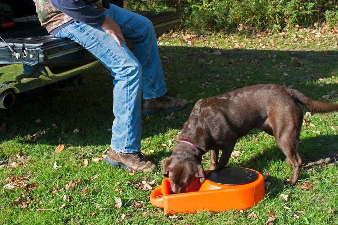Dakota 283 "Dine N Dash" - Feeding and Watering System