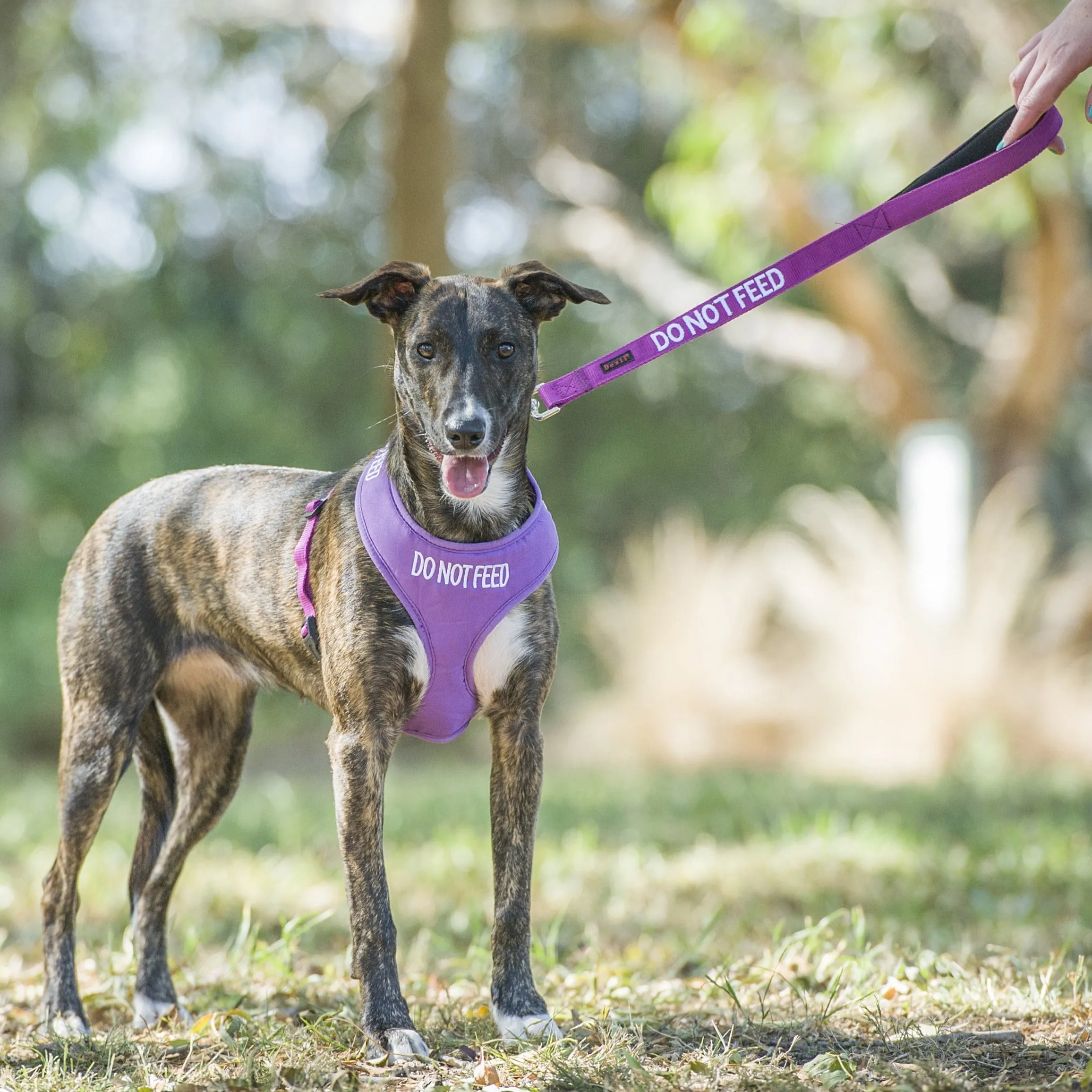DO NOT FEED - Large adjustable Vest Harness