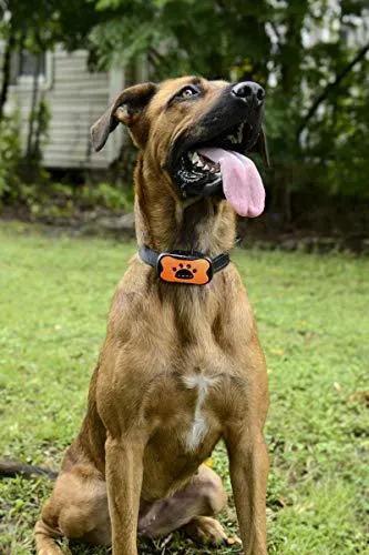 Dog Bark Collar - Stop Dogs Barking Fast! Safe Anti Barking Devices Training Control Collars, Small, Medium and Large pets deterrent. No shock, remote or citronella. Sound, vibration training device