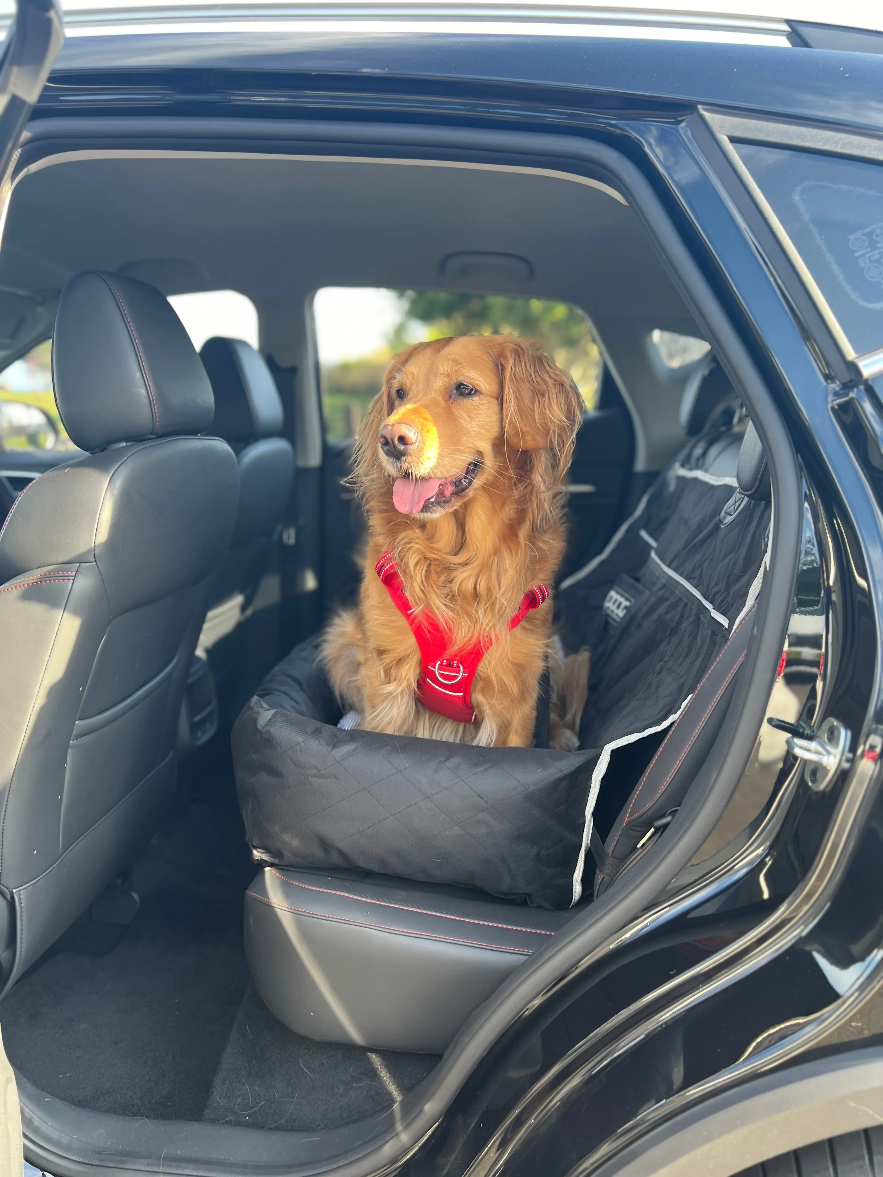 DOOG Car Seat BLACK - Large
