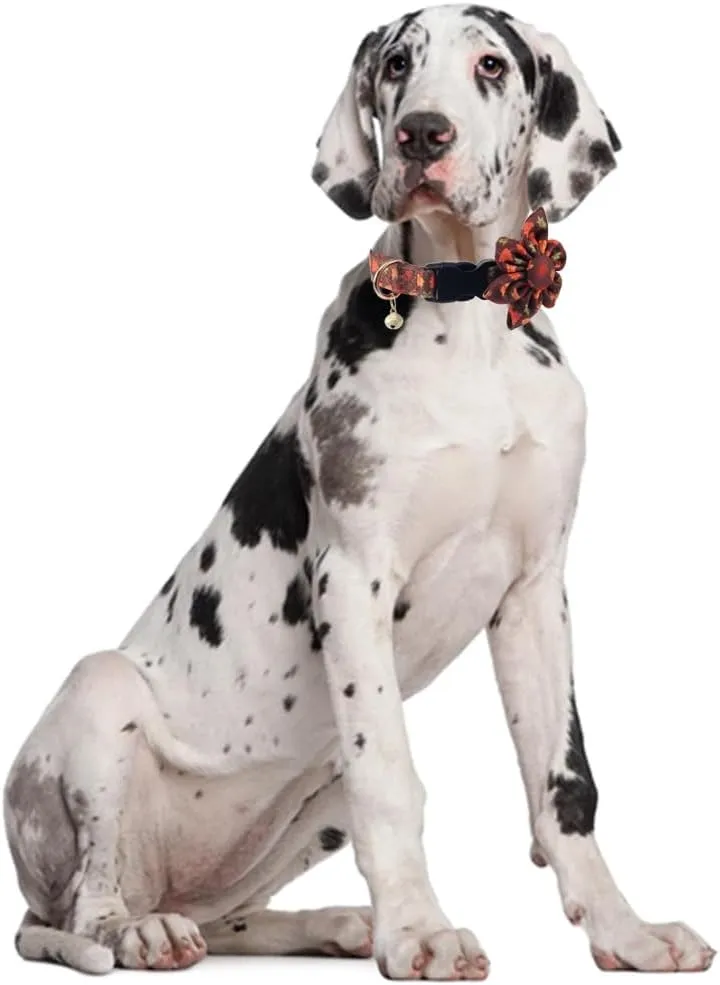 Fall Thanksgiving Day Dog Collar with Sunflower and Bell Autumn Holiday Adjustable Pet Collars for Dogs (Maple Leaf,Medium)