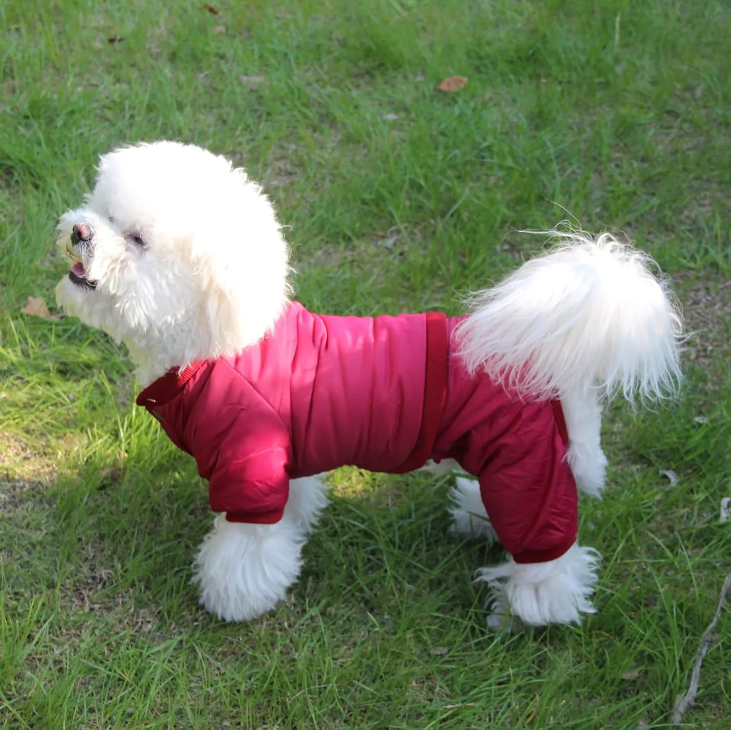 Fleece Lined Dog Coat with Detachable Hood and Detachable Hind Legs,Warm Puppy Jacket in Winter(Red M)