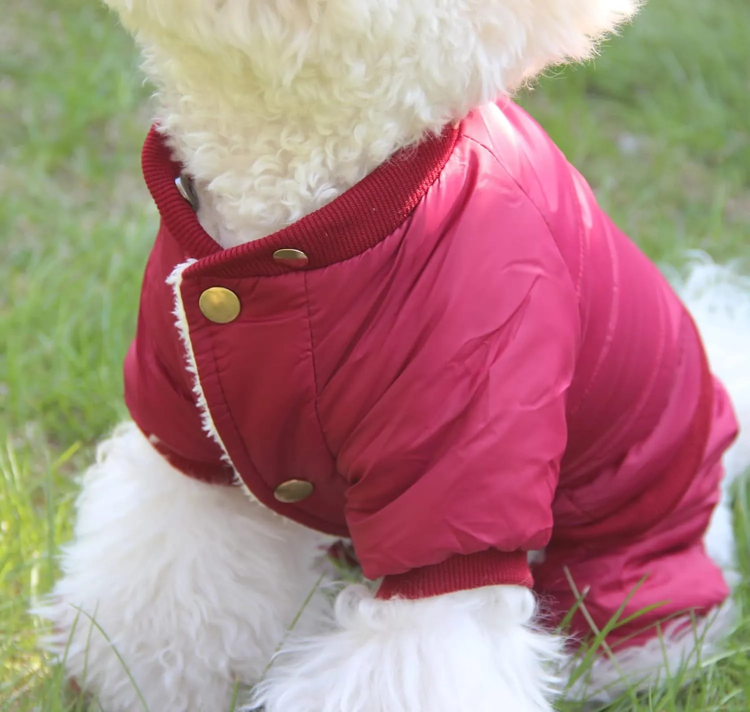 Fleece Lined Dog Coat with Detachable Hood and Detachable Hind Legs,Warm Puppy Jacket in Winter(Red M)
