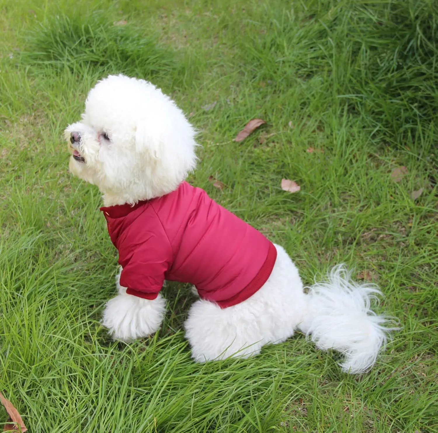 Fleece Lined Dog Coat with Detachable Hood and Detachable Hind Legs,Warm Puppy Jacket in Winter(Red M)