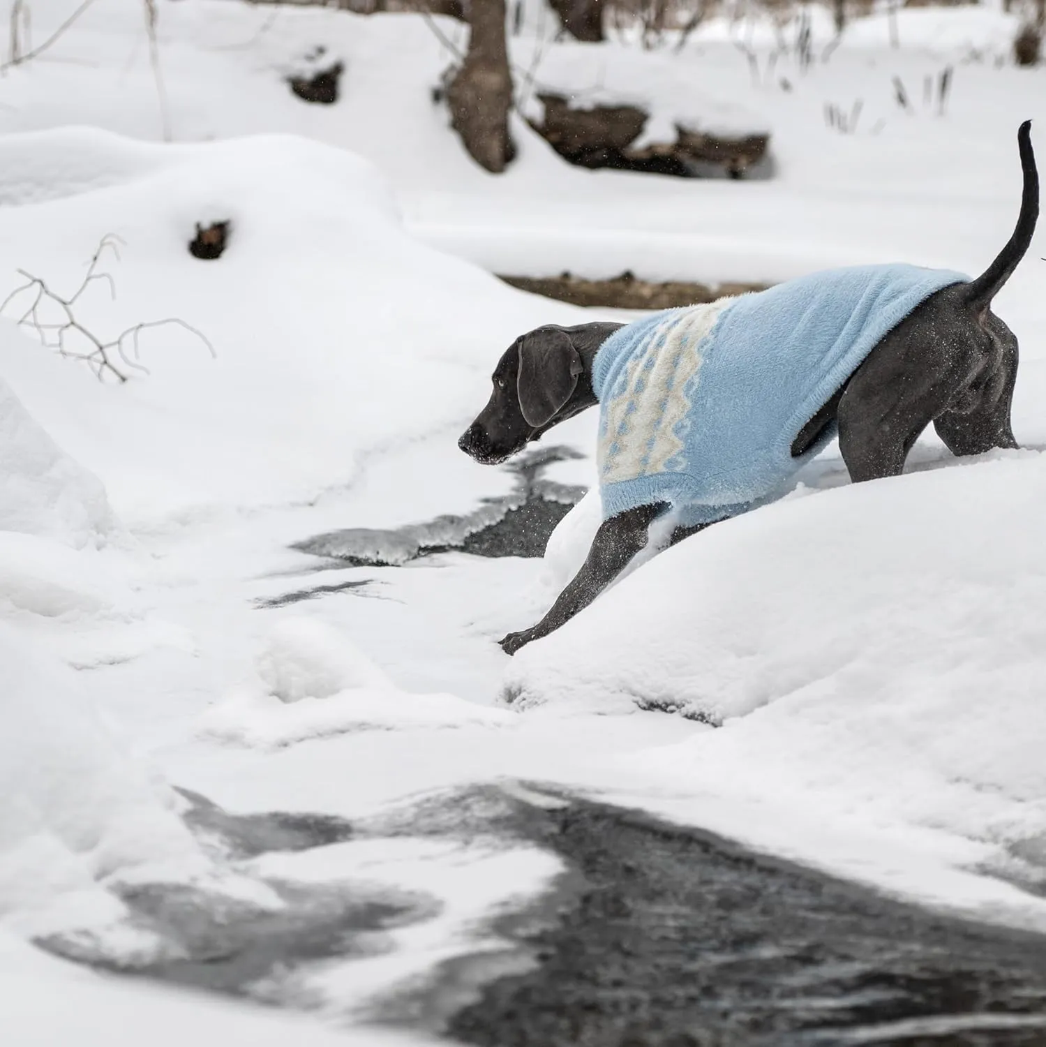 Fuzzy Dog Sweater - Cozy & Soft Knit Sweater for Dogs - Warm Winter Dog Pullover - Stylish & Comfortable - X-Large, Light Blue