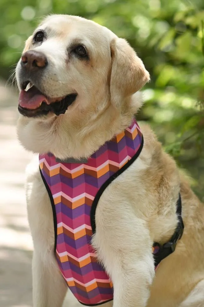 Geometrical Dark Vest Harness