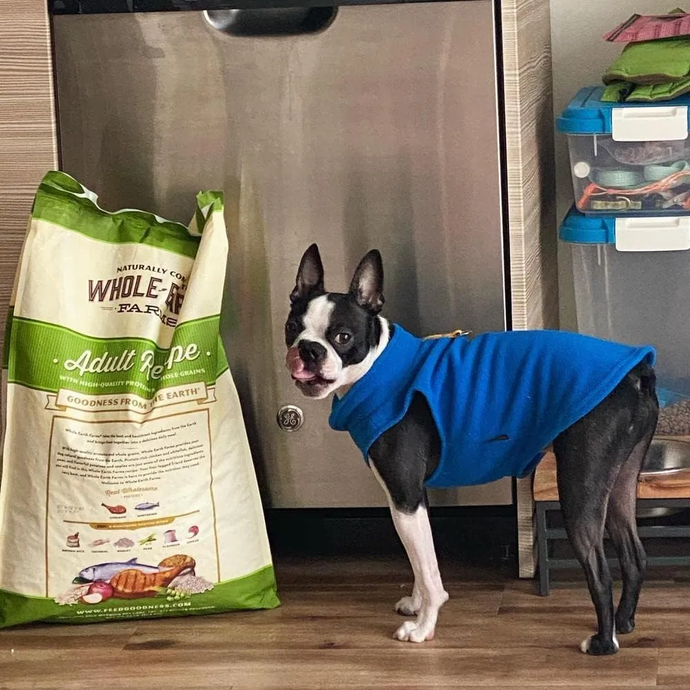 Gooby - Fleece Vest, Small Dog Pullover Fleece Jacket with Leash Ring, Deep Blue, Large