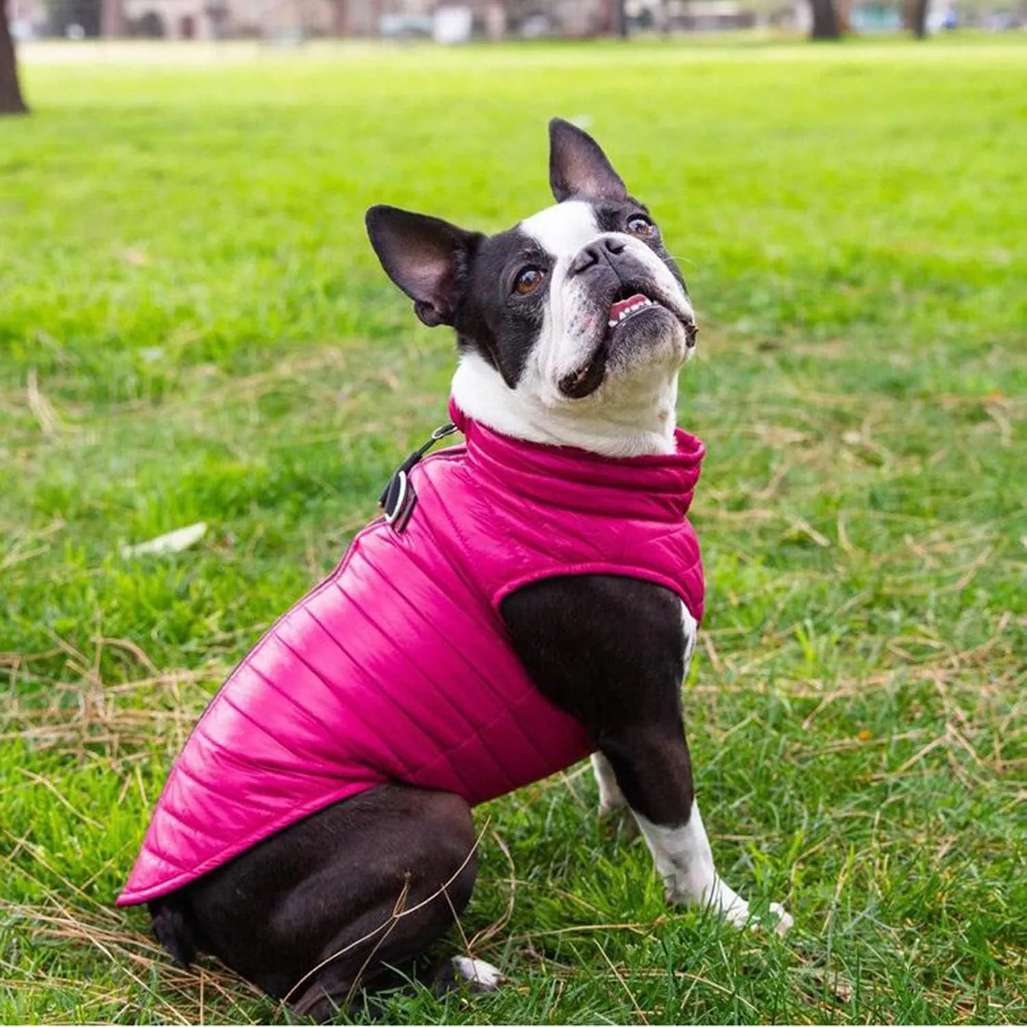 Gooby Puffer Vest Dog Jacket - Pink, X-Small - Ultra Thin Zip Up Wind Breaker with Dual D Ring Leash - Water Resistant Small Dog Sweater Coat - Dog Clothes for Small Dogs Boy or Medium Dogs