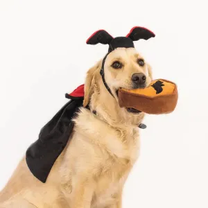 Halloween Costume Kit for Dogs - Dracula