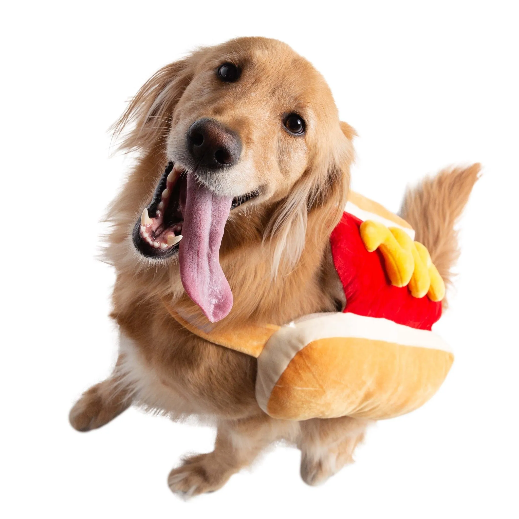 Hot Dog Pet Costume