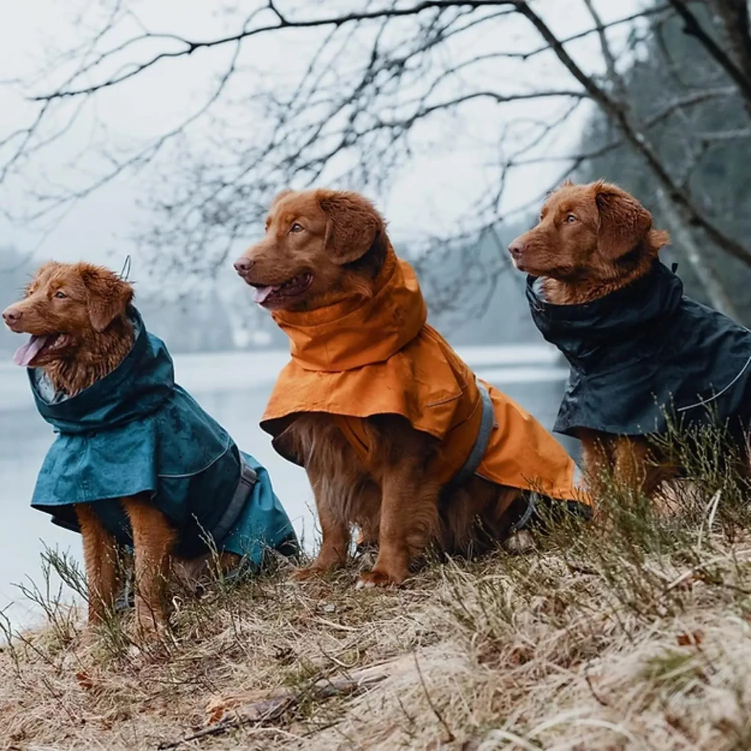 Hurtta Monsoon Coat, Dog Raincoat, Buckthorn, 22 in
