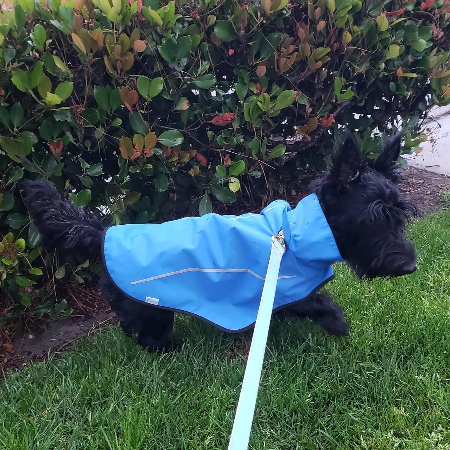 Mile High Life Dog Raincoat, Adjustable Waterproof Reflective Rain Jacket for Small Medium Large Dogs, Lightweight Breathable Pet Rain Coat with Leash Hole(Blue,XS Chest 17-23")