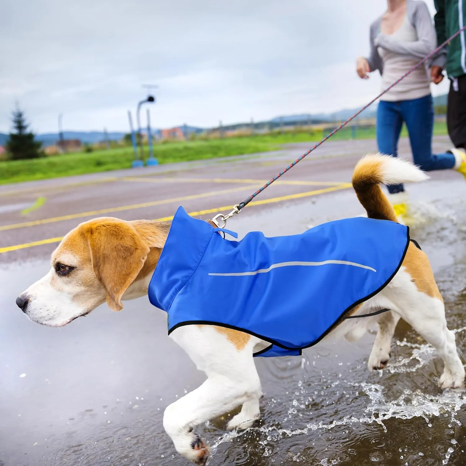 Mile High Life Dog Raincoat, Adjustable Waterproof Reflective Rain Jacket for Small Medium Large Dogs, Lightweight Breathable Pet Rain Coat with Leash Hole(Blue,XS Chest 17-23")