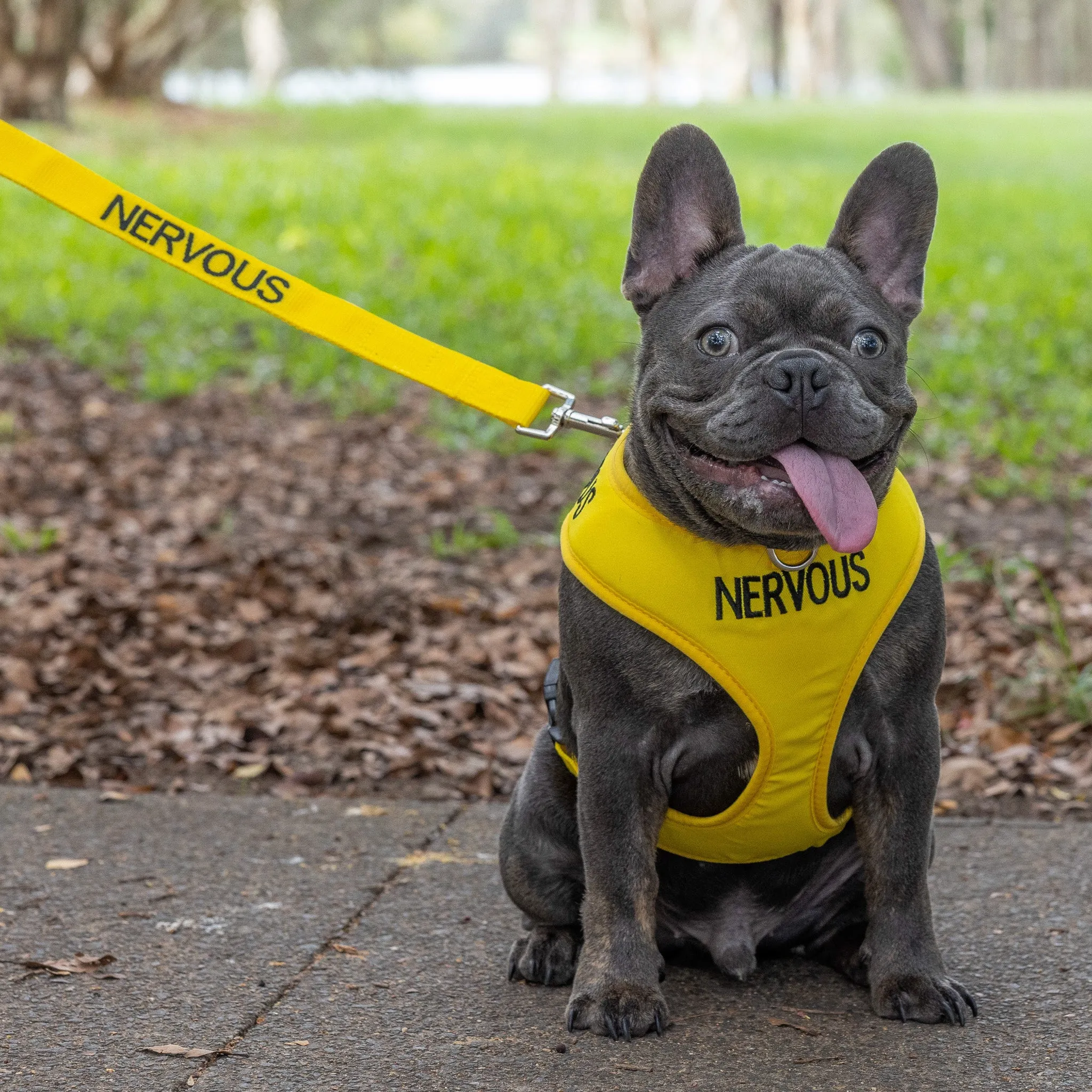 NERVOUS - Medium adjustable Vest Harness