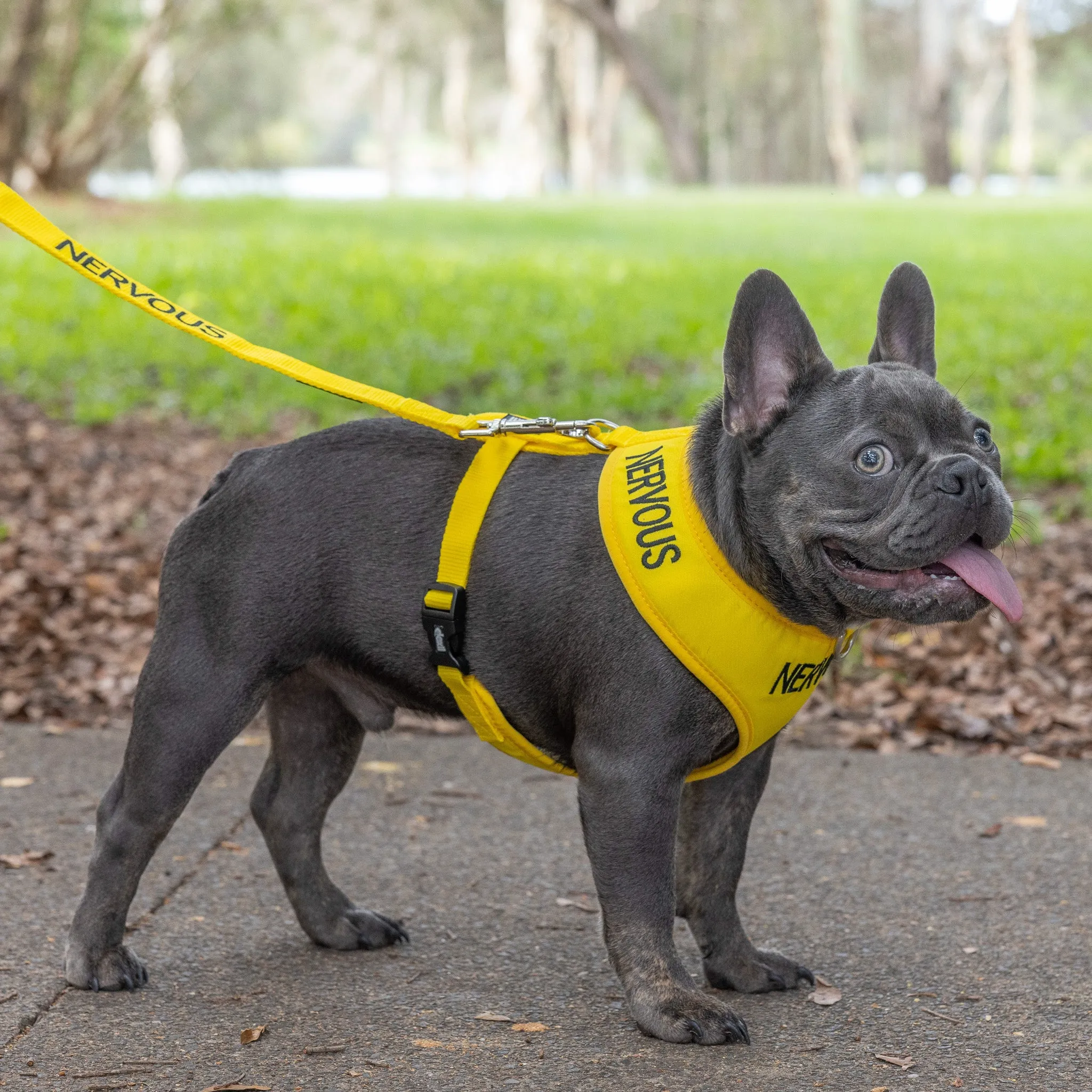 NERVOUS - Medium adjustable Vest Harness