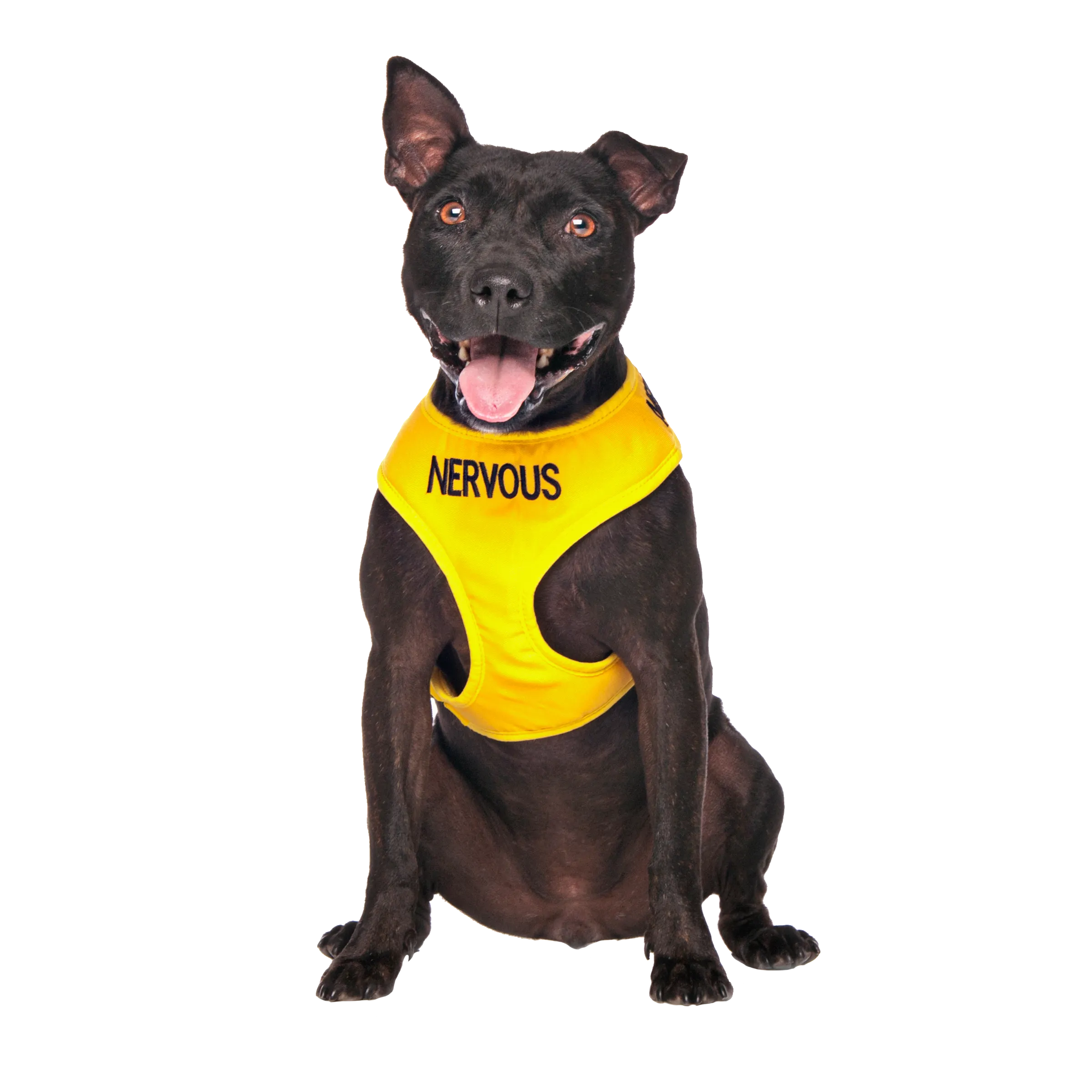 NERVOUS - Medium adjustable Vest Harness