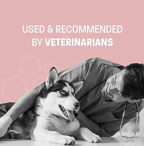 No Chew Spray for Dogs and Cats