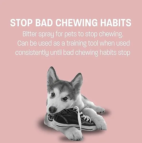 No Chew Spray for Dogs and Cats