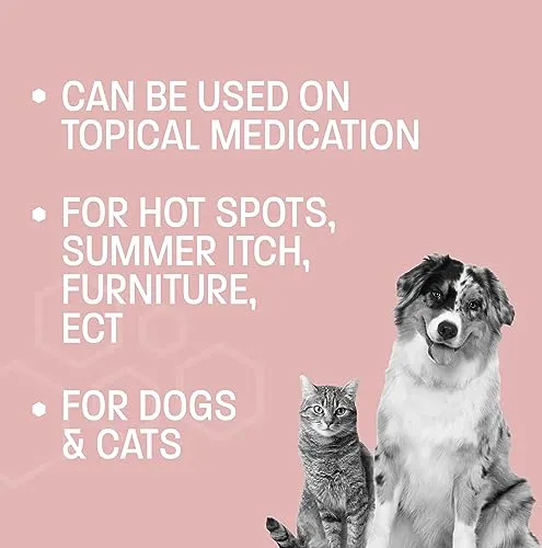 No Chew Spray for Dogs and Cats