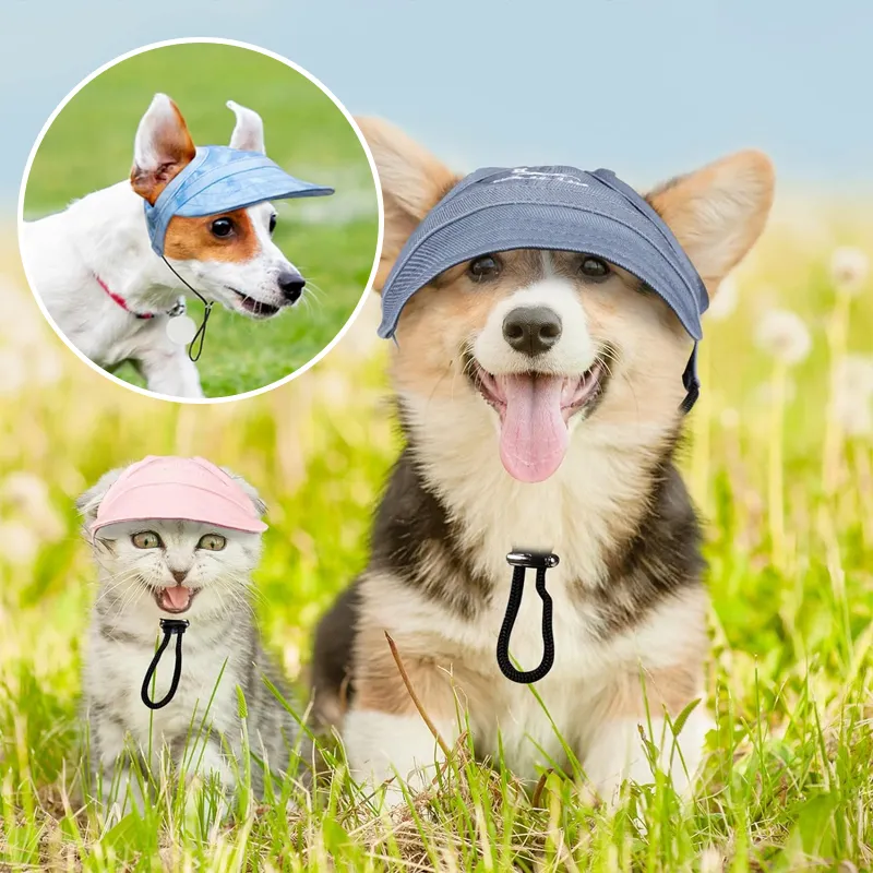 Outdoor Sun Protection Hood for Dogs