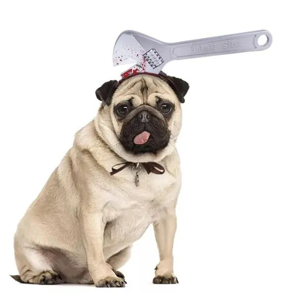 Paws & Whiskers  Halloween Dog Costume