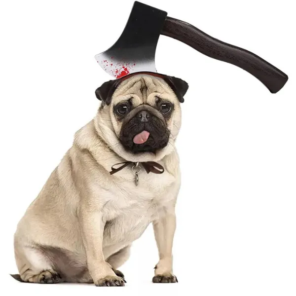 Paws & Whiskers  Halloween Dog Costume
