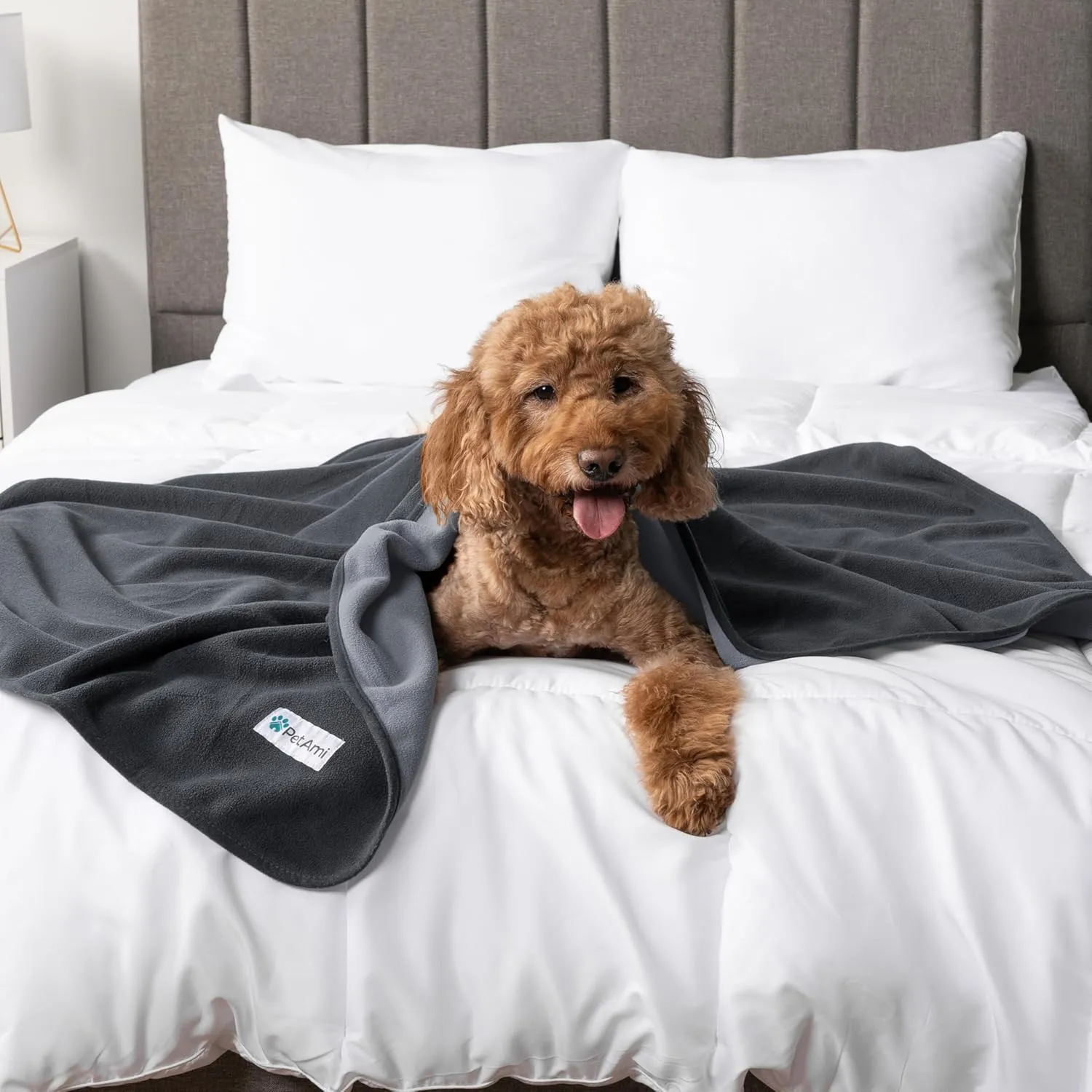 PetAmi Waterproof Dog Blanket for Medium Large Pets Dogs Cats, Pet Couch Cover Protector for Furniture, Reversible Washable Soft Fleece Cat Blanket for Bed Couch Sofa, 40x60 (Gray/Light Gray)