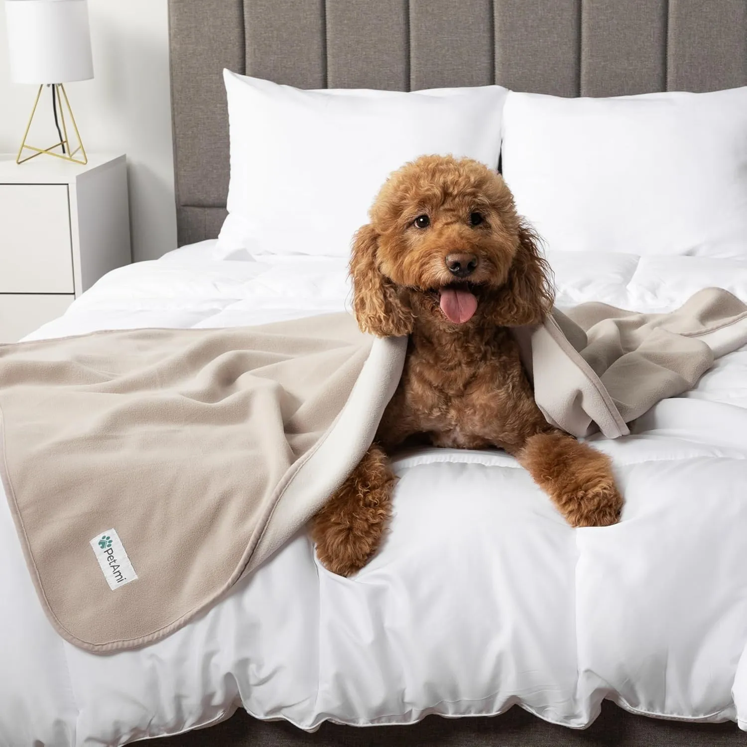 PetAmi Waterproof Dog Blanket for Medium Large Pets Dogs Cats, Pet Couch Cover Protector for Furniture, Reversible Washable Soft Fleece Cat Blanket for Bed Couch Sofa, 40x60 (Taupe/Beige)