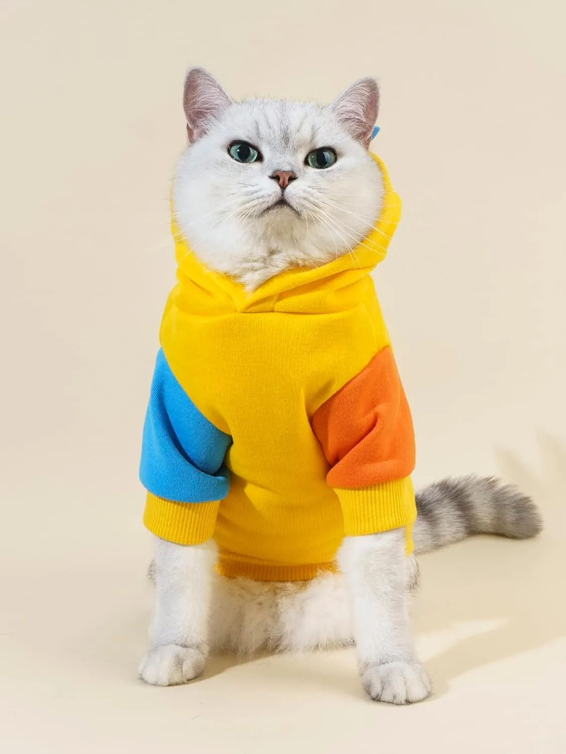 QWINEE Dinosaur Dog Hoodie Dog Warm Jacket Christmas Halloween Dog Costume Dog Clothes for Puppy Kitten Small Medium Dogs Cats Blue and Yellow XXS