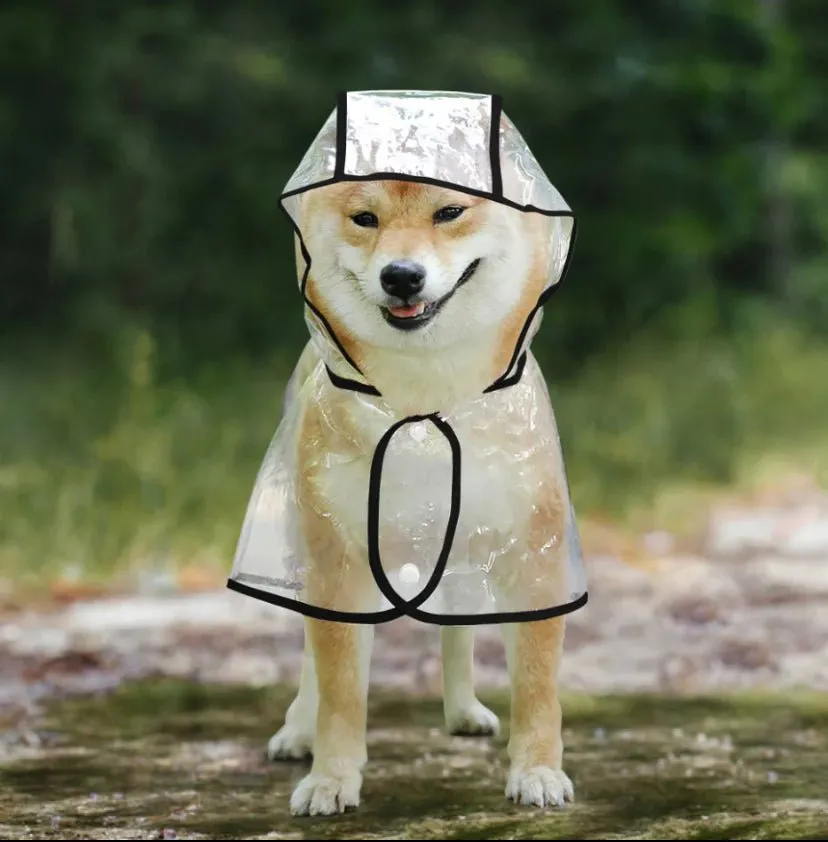 Raincoat with Hood