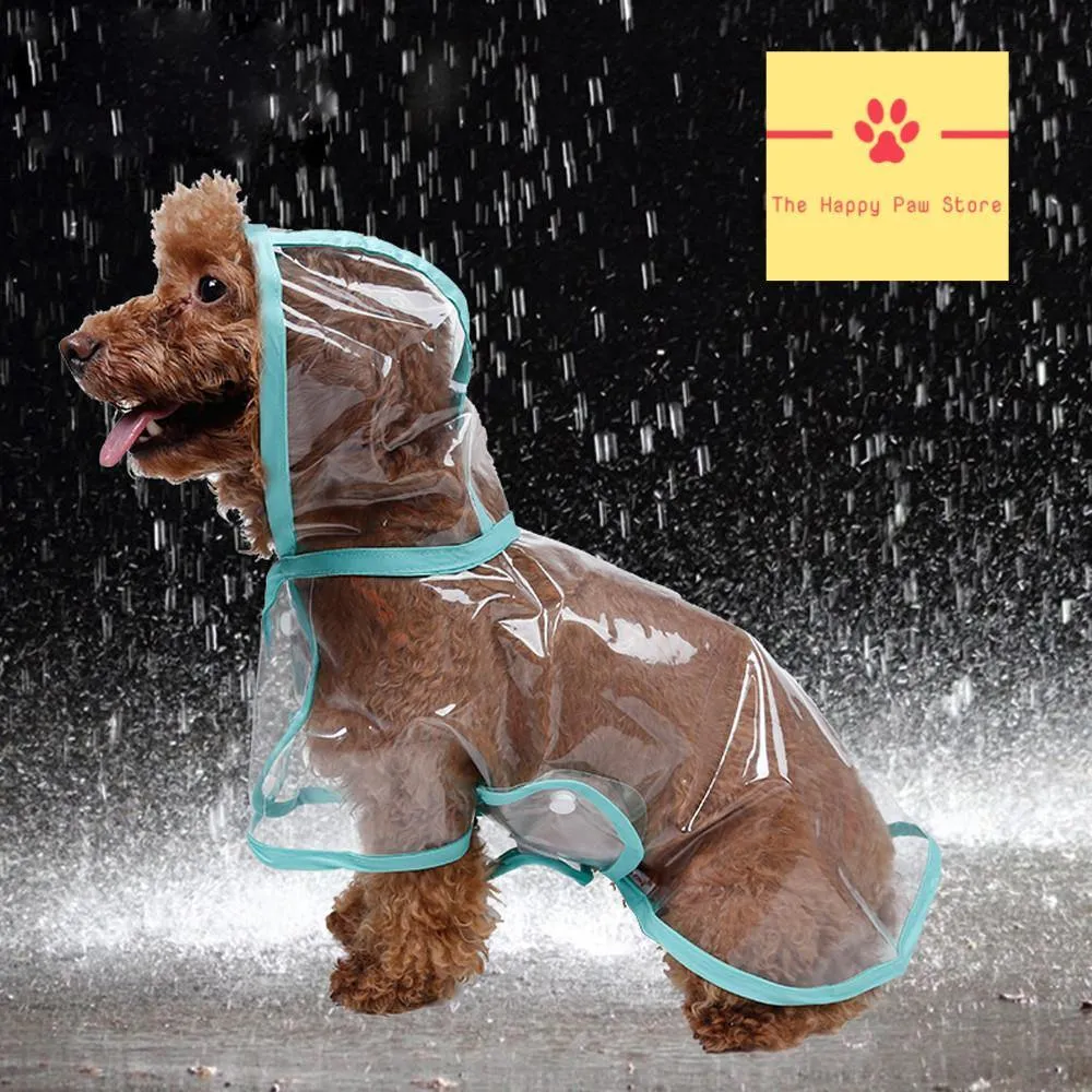 Raincoat with Hood