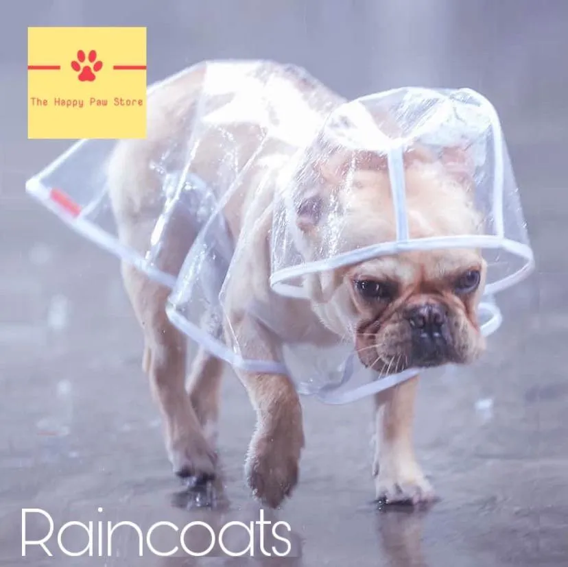Raincoat with Hood