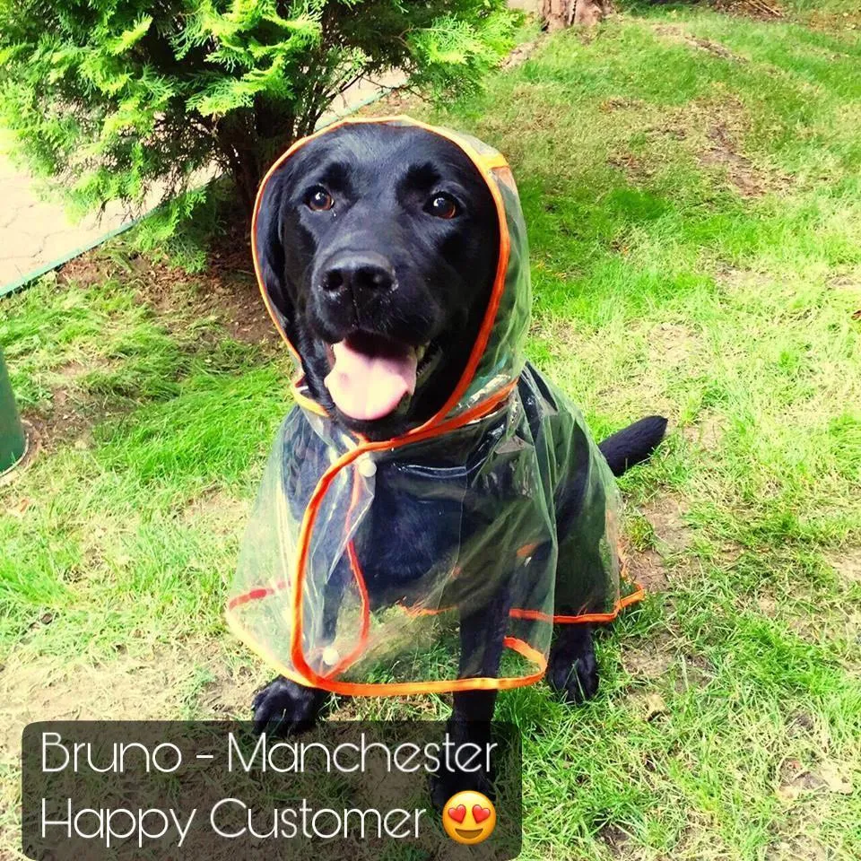 Raincoat with Hood