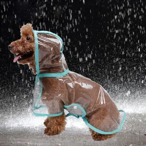 Raincoats For Small Dogs