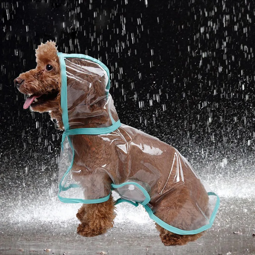 Raincoats For Small Dogs