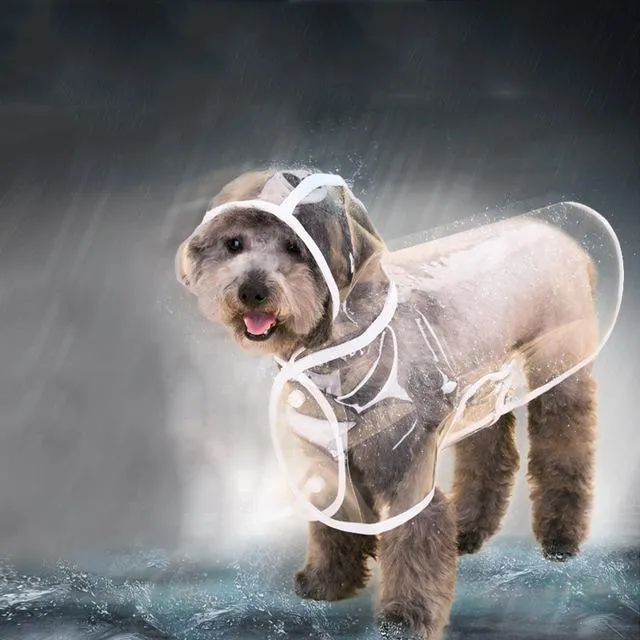 Raincoats For Small Dogs