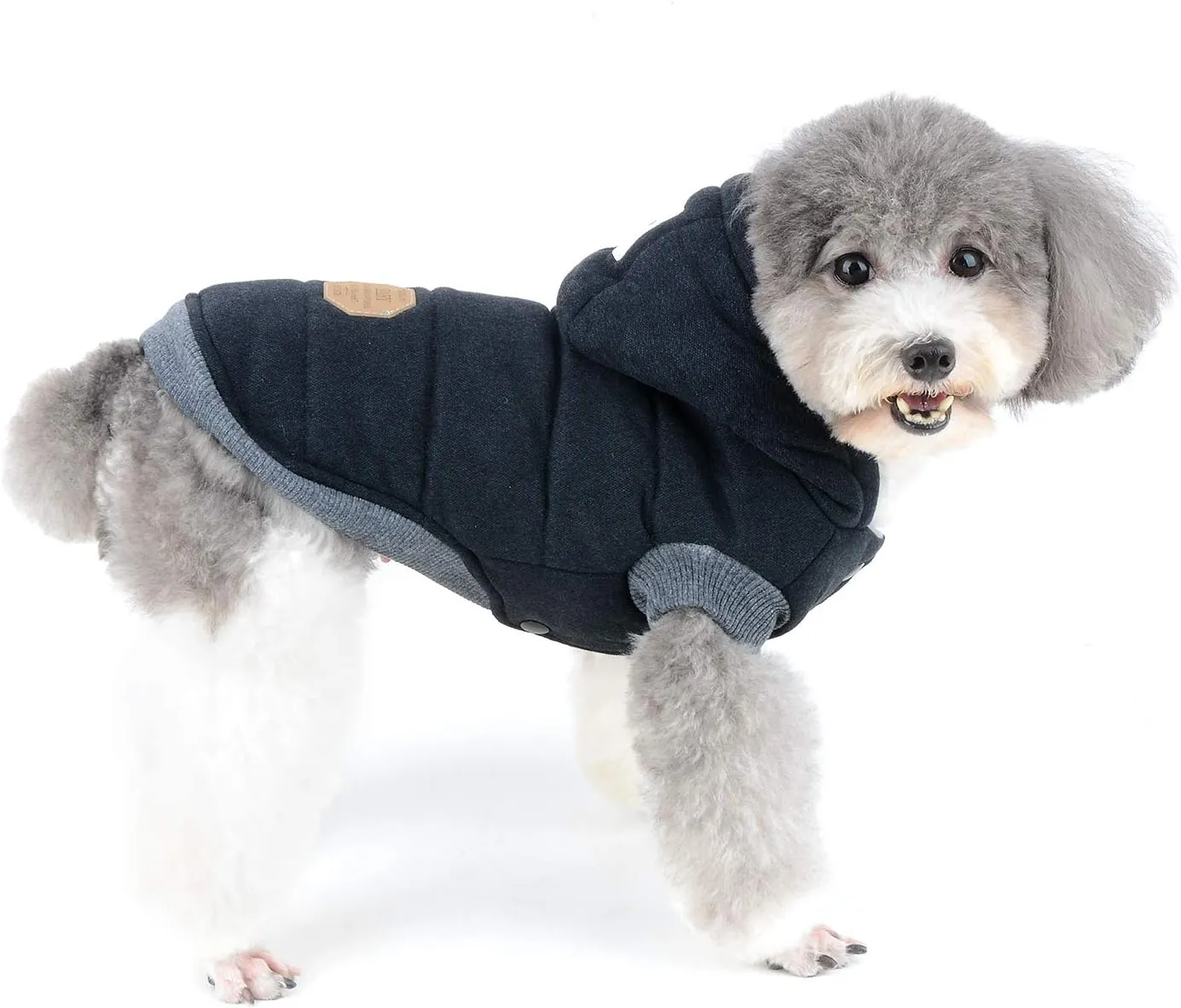 Ranphy Cotton Fleece Small Dog Jackets Hoodie for Cold Weather Girl Boy Puppy Cat Winter Coat Sweater 2 Leg Hooded Outfits Pet Soft Vest Clothes Apparel for Chihuahua Poodle Teacup Dog Black S
